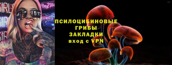 мет Инсар