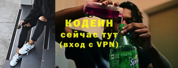 крисы Иннополис