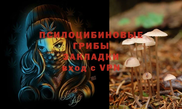 apvp Зерноград
