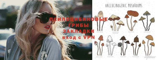 apvp Зерноград
