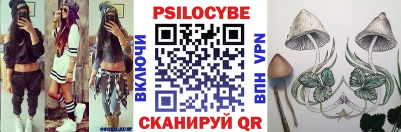 omg вход  Аксай  Галлюциногенные грибы мицелий 